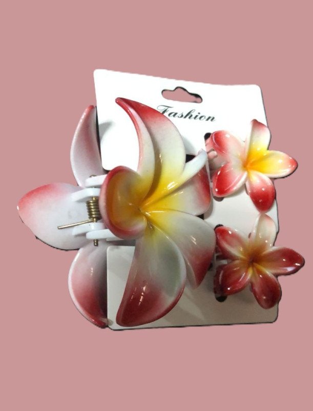 Barrette Cheveux Fashion Medium 12pcs - A-27